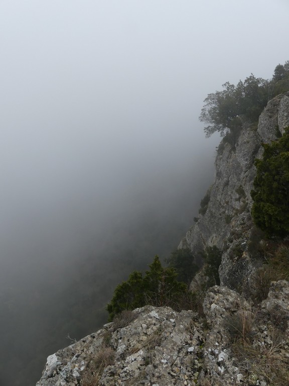 Mont Aurélien-Jeudi 13 février 2020 J2U3a0