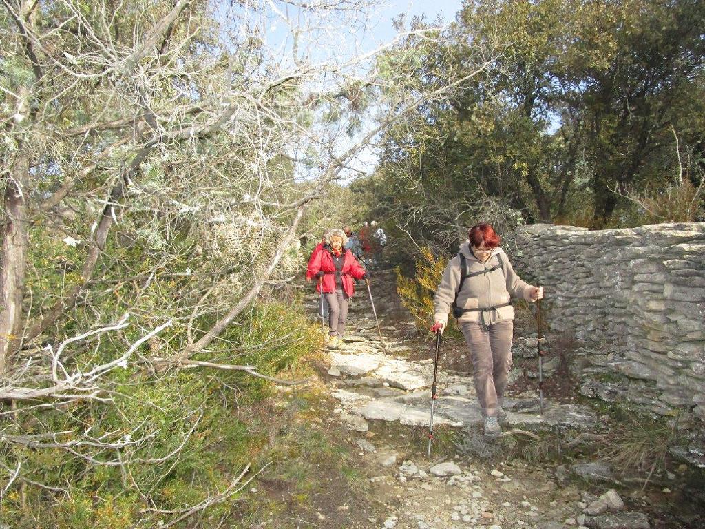 Gordes-Sénancole-Jeudi 21 février 2019 LwlpTP