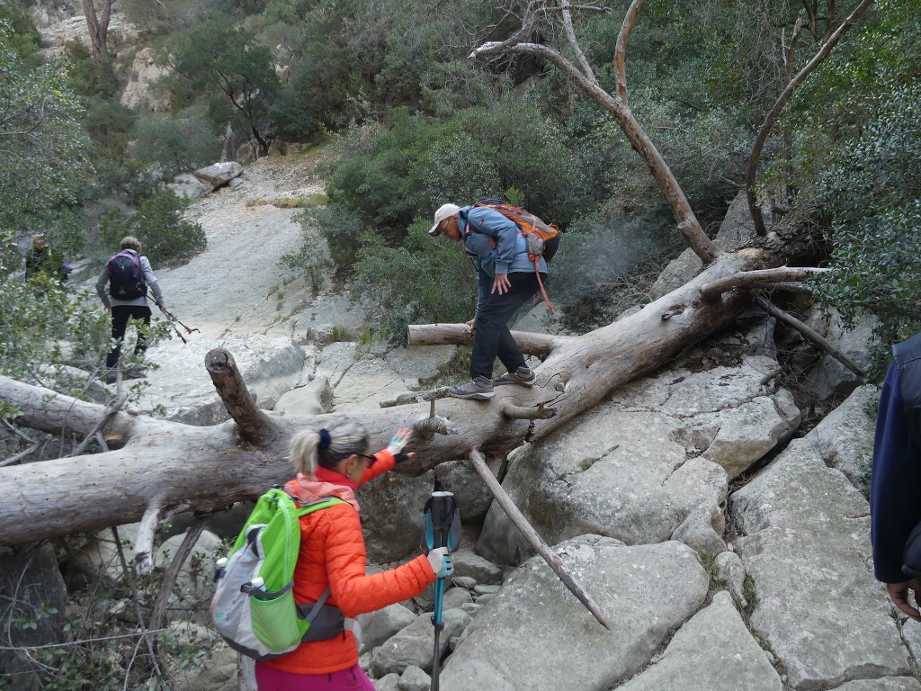 Ollioules-Gorges du Destel-Jeudi 28 mars 2019 PcmmXV