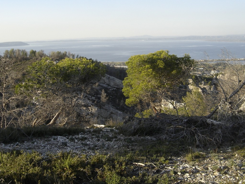 Chateauneuf les Martigues - Jeudi 25 octobre 2018 Q55G2g