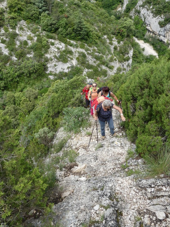 Oppède-Forêt des Cèdres-Jeudi 7 juin 2018 QIO0xm