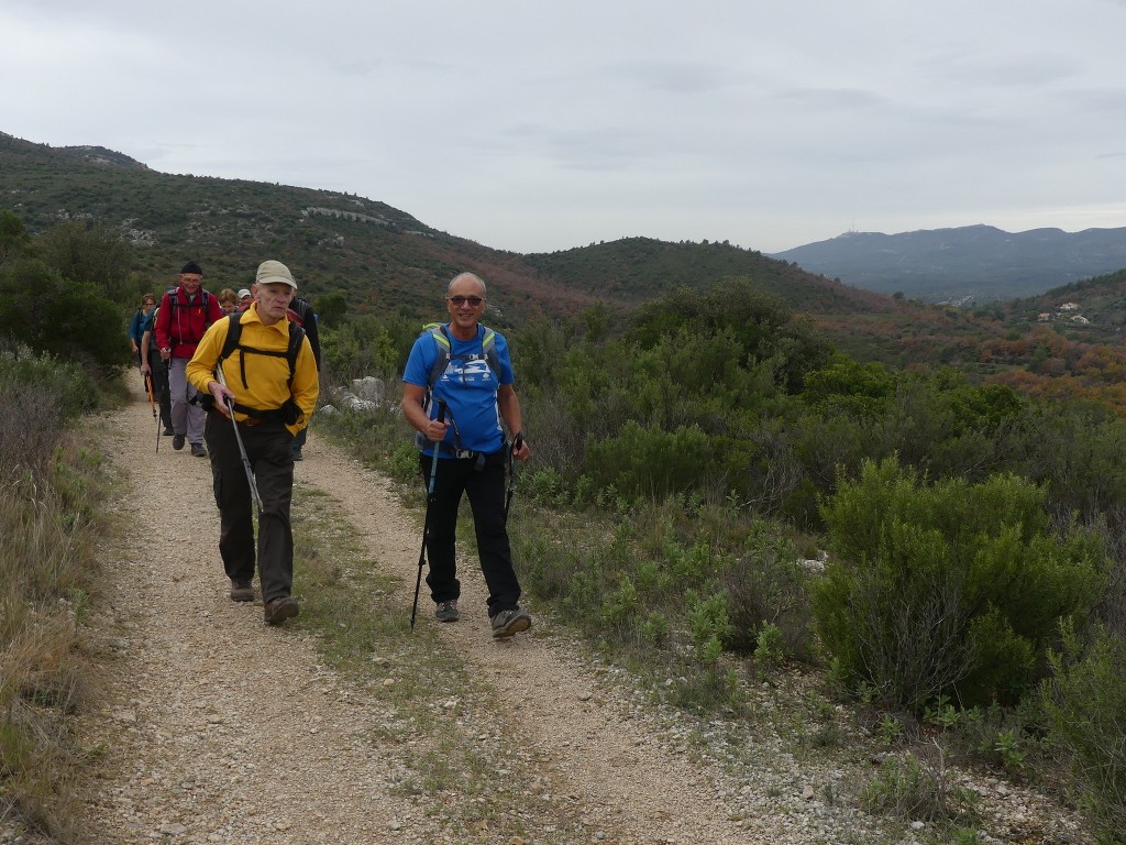 Pichauris-Plateau de l'Aroumi-Jeudi 5 décembre 2019 QJSatd