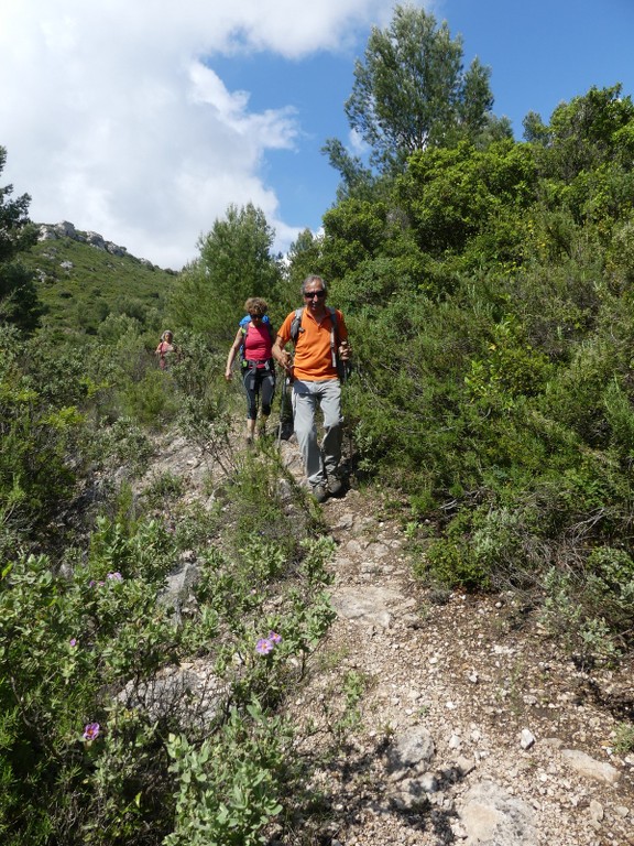 Cuges-Les 3 Jas-Jeudi 31 mai 2018 T230Ai