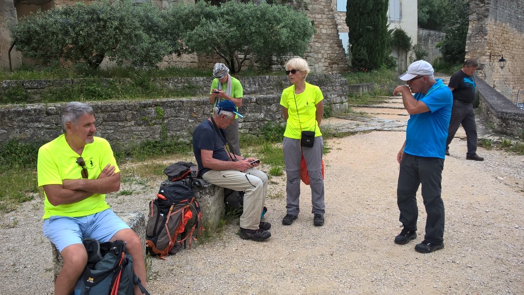 Oppède-Forêt des Cèdres-Jeudi 7 juin 2018 Tslt8J