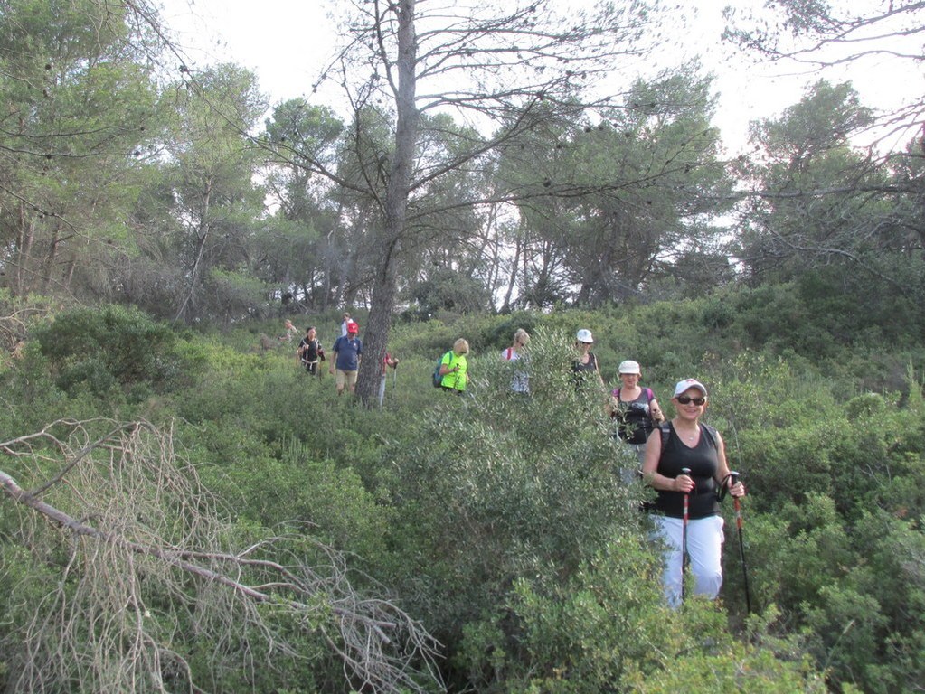 Calas - Jeudi matin 21 juin 2018 U4aHPh