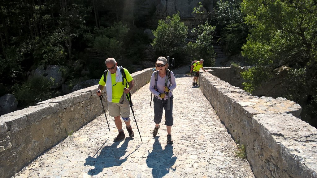 Pic St Cyr-Gorges de la Méouge-Jeudi 21 juin 2018 V3cs8R