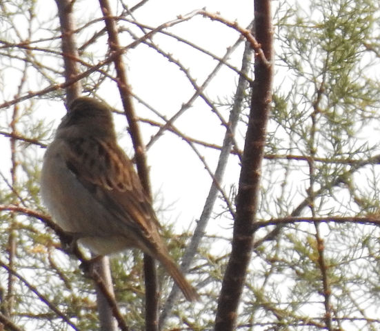 Ajuda na ID - Parque Tejo ZjZSHC