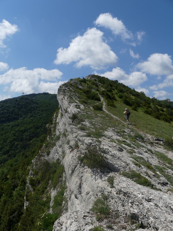 Pic St Cyr-Gorges de la Méouge-Jeudi 21 juin 2018 CwaQ5W