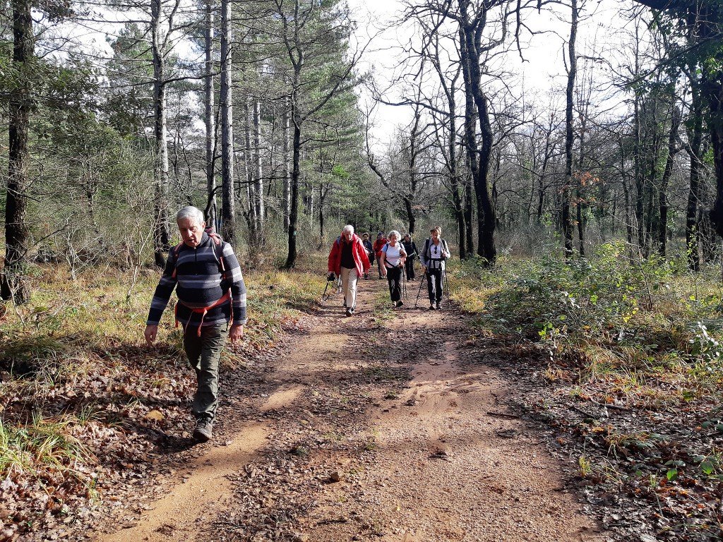 Belgentier-Aiguilles de Valbelle-Montrieux-Jeudi 20 décembre 2018 CyN0ZD