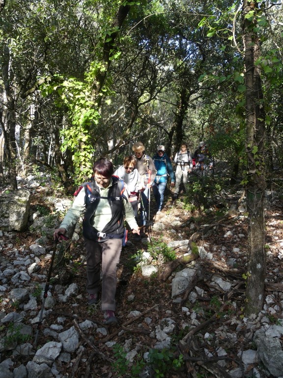 St Saturnin lès Apt-Baume RoustanJeudi 6 février 2020 FC150S