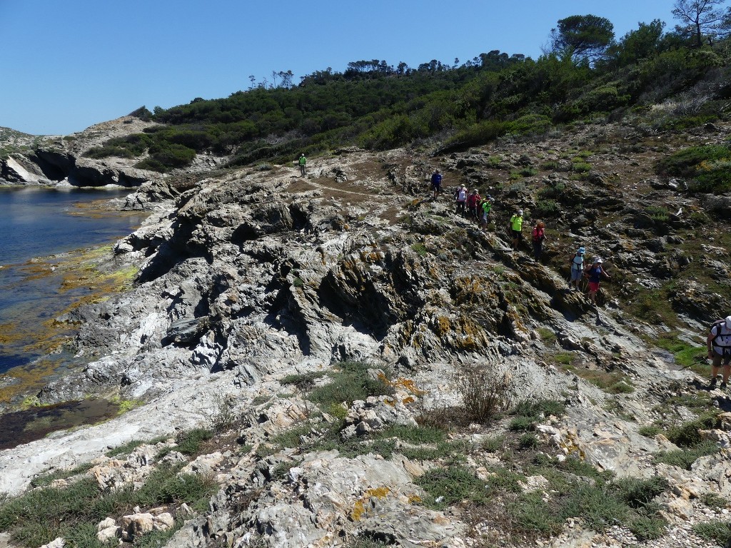 Porquerolles-Jeudi 14 juin 2018 FisTbp