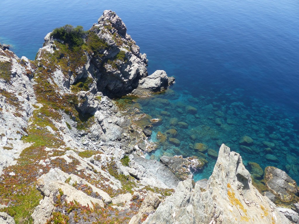 Porquerolles-Du Mont de Tièlo à la Galère-Jeudi 23 juin 2016 GHRY95