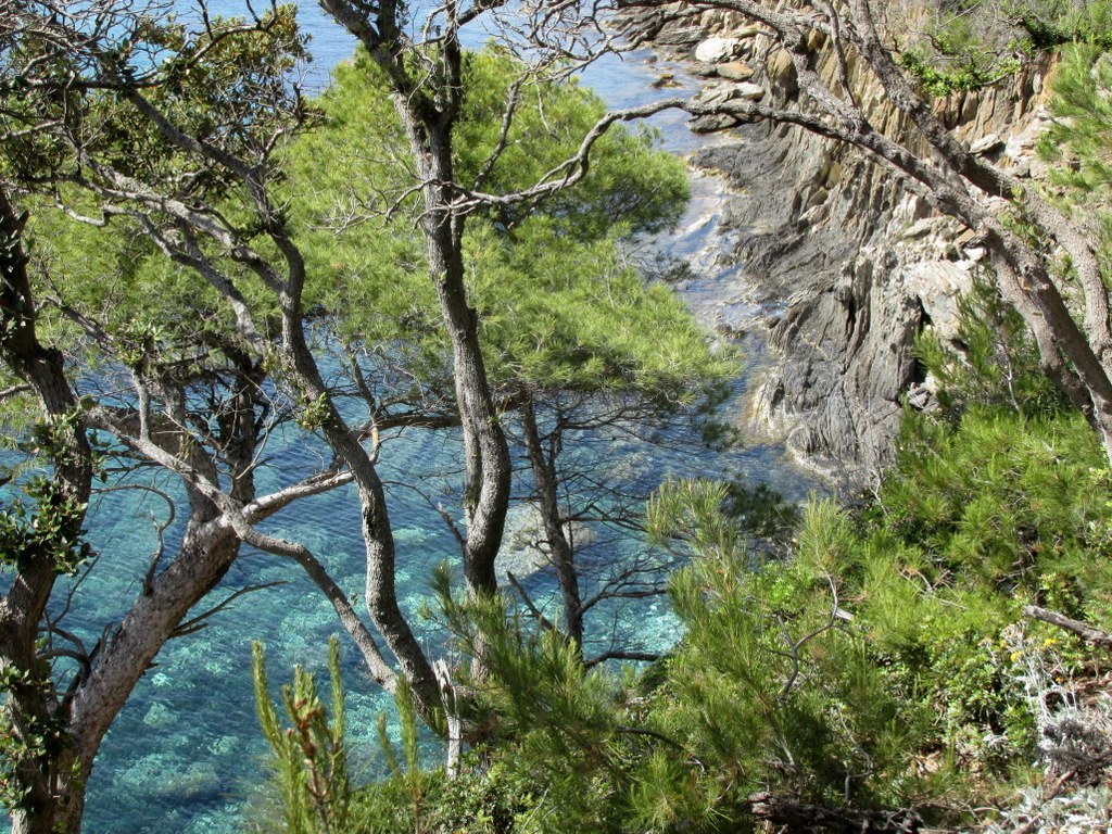 Port Cros- Randonnée groupe JM (Claude par interim)-Jeudi 13 juin 2019 HtJT9x