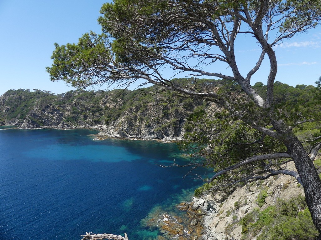 Porquerolles-Jeudi 14 juin 2018 HwegyW