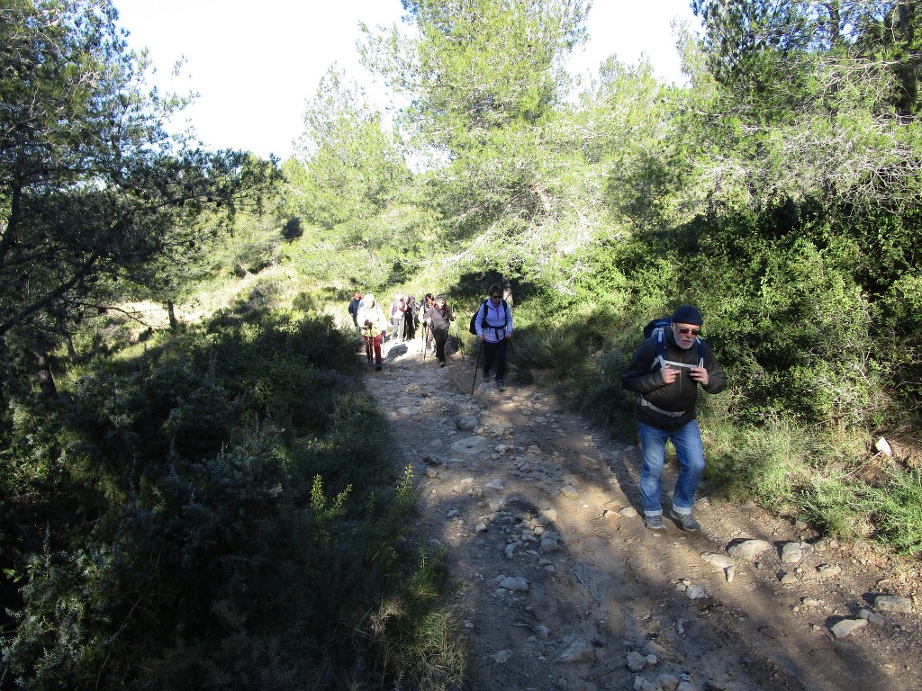 Martigues-Parc de Figuerolles-Jeudi 10 janvier 2019 MX1Rwd