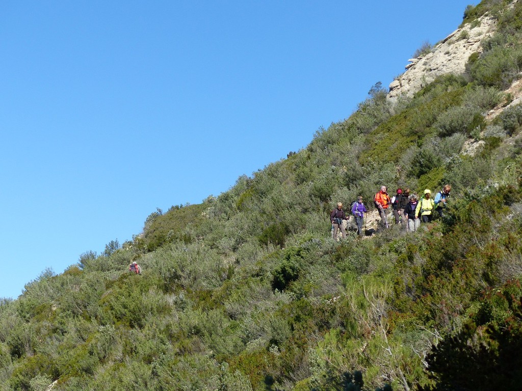 Cap Canaille-Crêtes Soubeyranes-Jeudi 7 mars 2016 MpKIrG