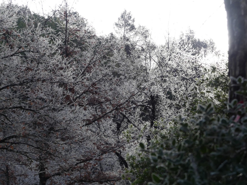 Sources de l'Huveaune-Rocs du Cayre-Jeudi 7 février 2019 Obp0VU