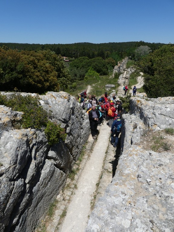 Randonnée culture alentours de Fontvieille-Lundi 6 mai 2019 Q2ltyf