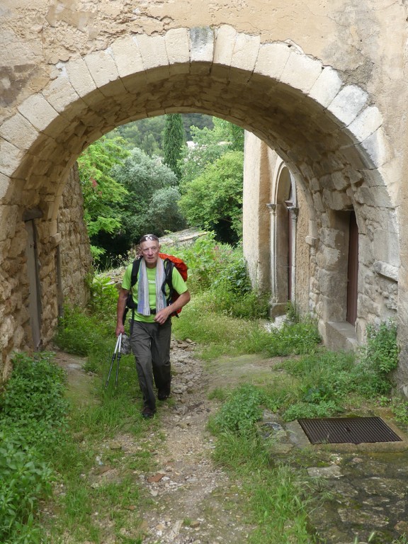 Oppède-Forêt des Cèdres-Jeudi 7 juin 2018 QdgsPg