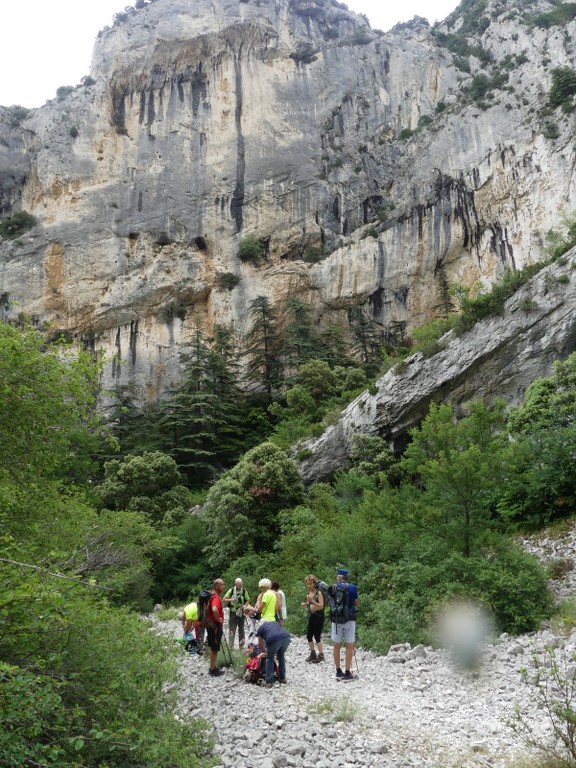 Oppède-Forêt des Cèdres-Jeudi 7 juin 2018 VYuuUO