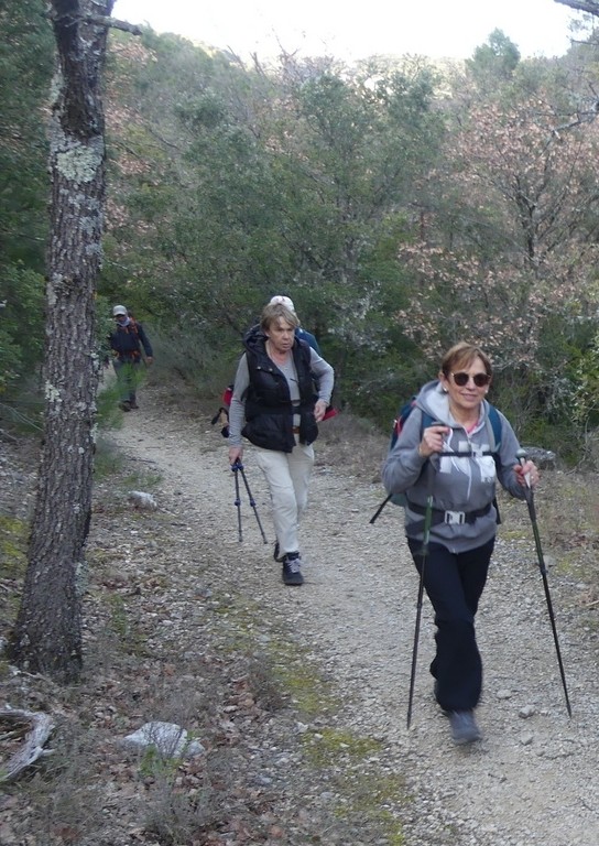 St Saturnin lès Apt-Baume RoustanJeudi 6 février 2020 Vv3e4d