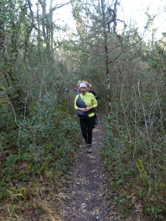 Sources de l'Huveaune-Rocs du Cayre-Jeudi 7 février 2019 VvVeFE