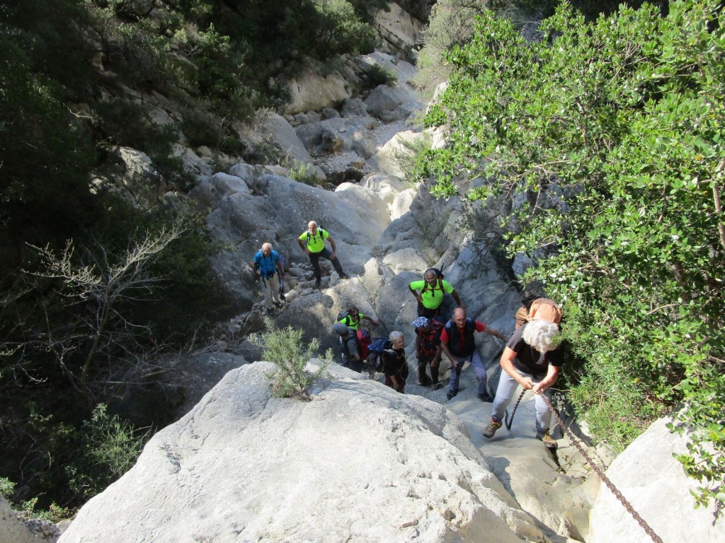 Ollioules-Gorges du Destel-Jeudi 28 mars 2019 Wq4Iwj