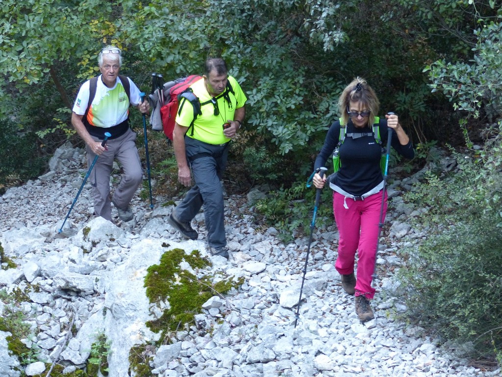 Le Revest-les-Eaux-Le Grand Cap-Jeudi 27 octobre 2016 WrDn99