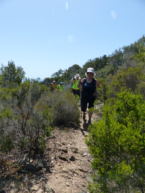 Porquerolles-Du Mont de Tièlo à la Galère-Jeudi 23 juin 2016 YkptG4