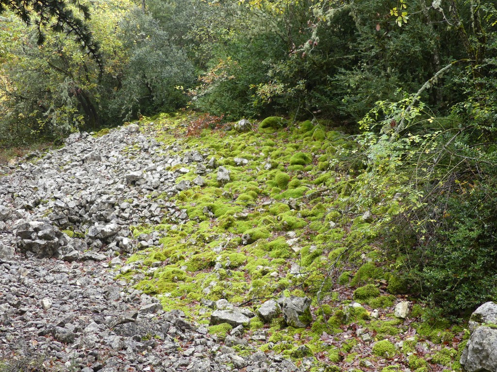 Les Jas du Ventoux sud-Jeudi 8 novembre 2018 YvF18Y