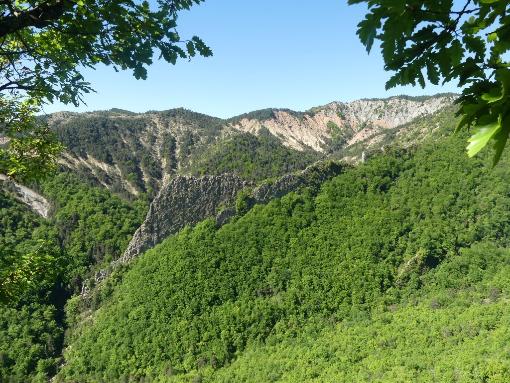 Lame de Facibelle-La Colle-Jeudi 30 mai 2019 Yy3U7F