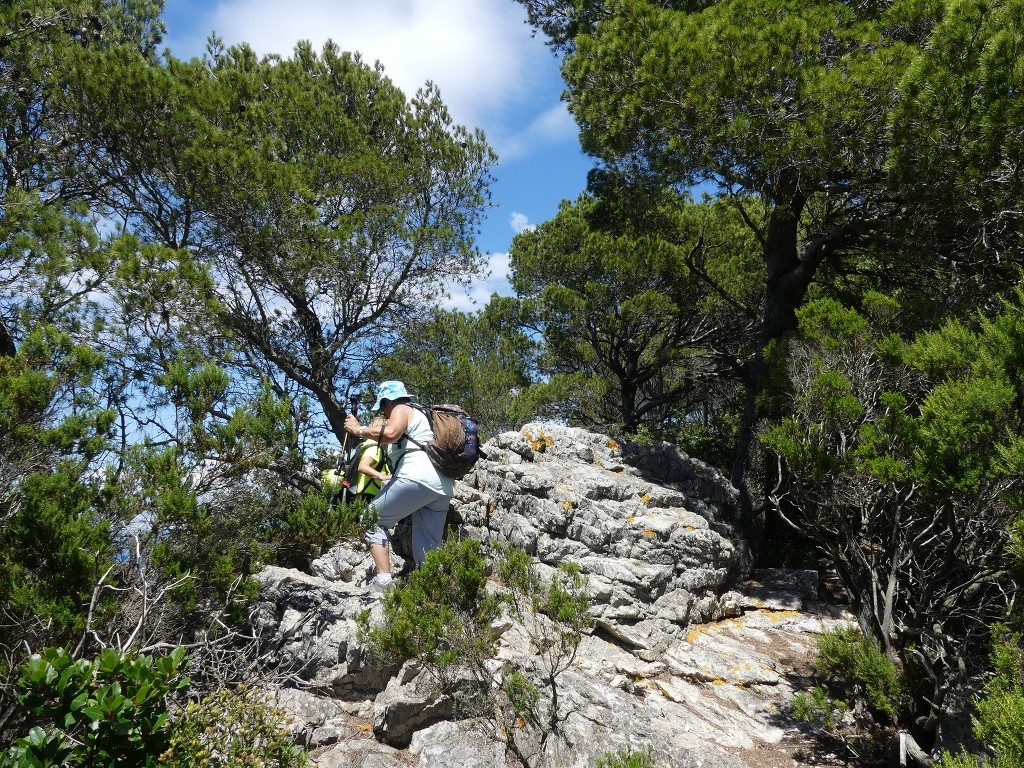 Porquerolles-Jeudi 14 juin 2018 ZJOgs4