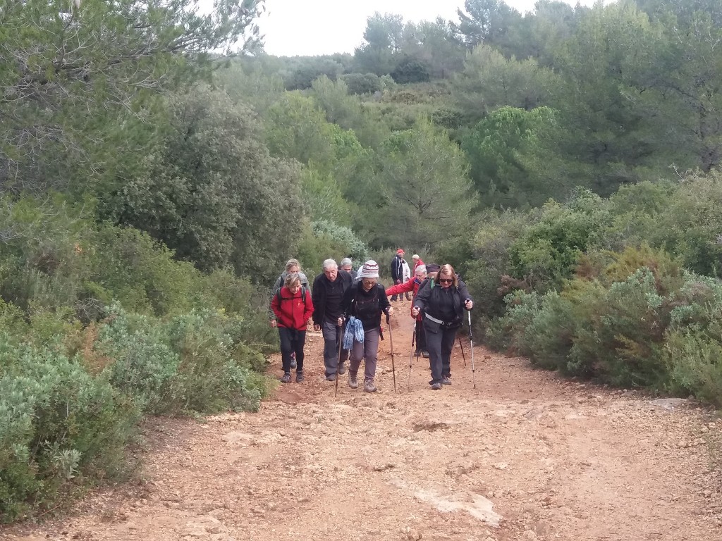 Marche du Téléthon-Samedi 4 décembre 2021 0mO4Sr