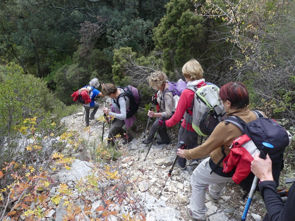 Lubéron-Vallon de l'Arc-Arche du Portalas-Jeudi 9 novembre 2017 0o4t4B