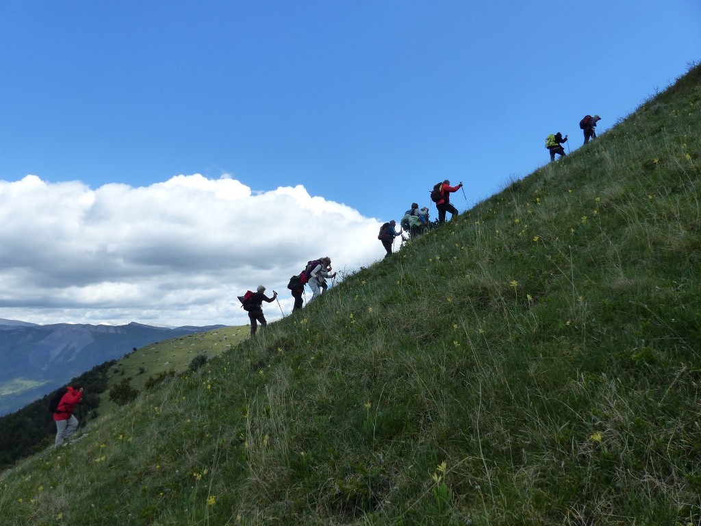 Digne-Le Cousson-Jeudi 19 mai 2016 1GC0WU