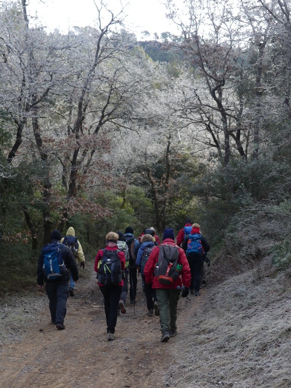 Sources de l'Huveaune-Rocs du Cayre-Jeudi 7 février 2019 2YE2c4