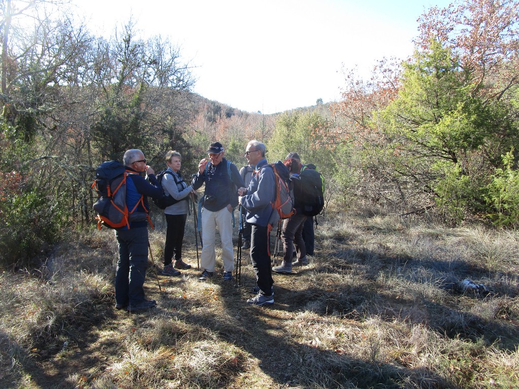 Rians-Montagne d'Artigues-Jeudi 7 mars 2019 43meyk