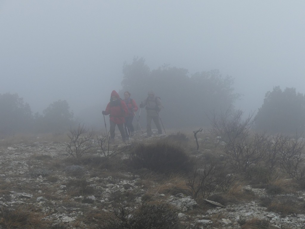 Mont Aurélien-Jeudi 25 janvier 2018 4NZFoV