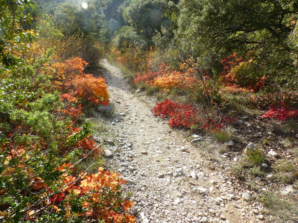 St Saturnin-lès-Apt Les Aiguiers-Jeudi 21 octobre 2021 4hOdNC