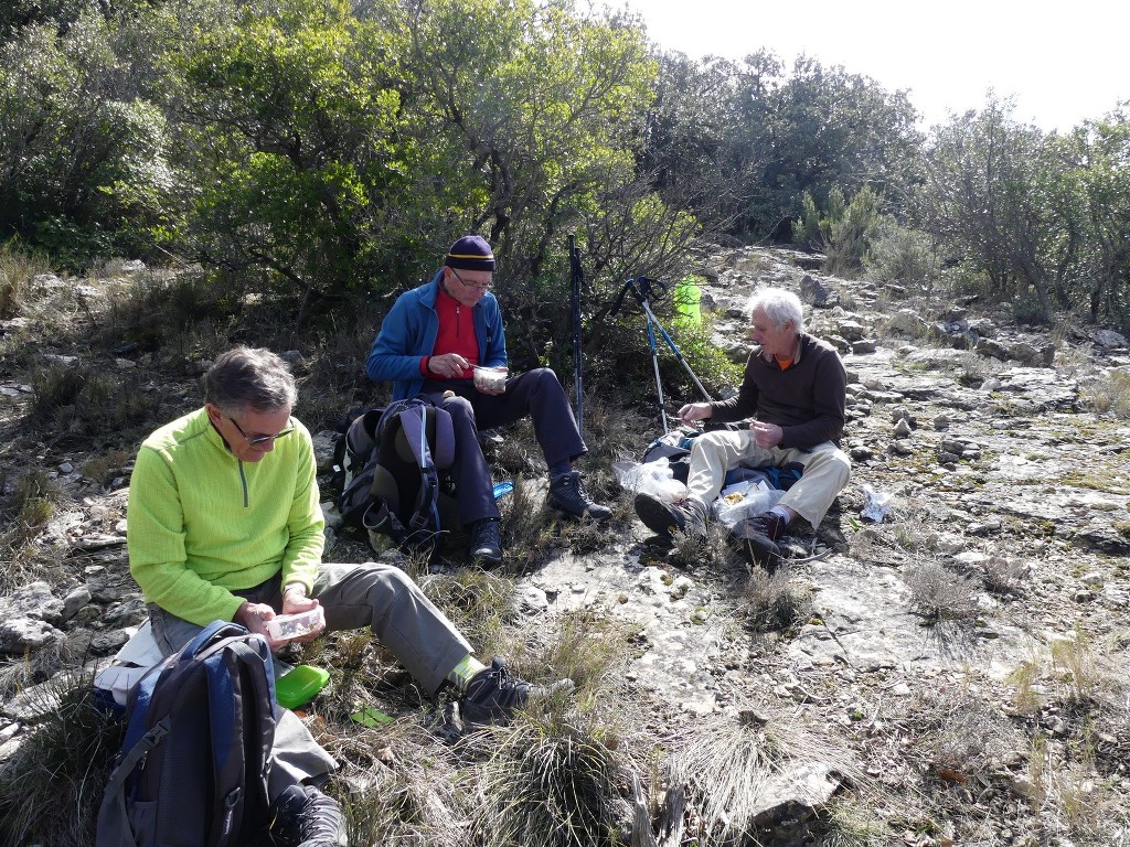 Méounes-Montrieux-Le Grand Puy-Jeudi 15 mars 2018 59Rnos