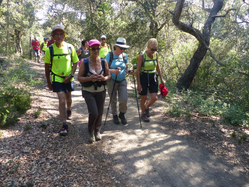 Porquerolles-Du Mont de Tièlo à la Galère-Jeudi 23 juin 2016 5RvmPy