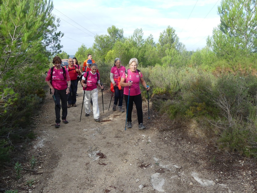 Marche octobre rose-Dimanche 9 octobre 2022 8K9nGt