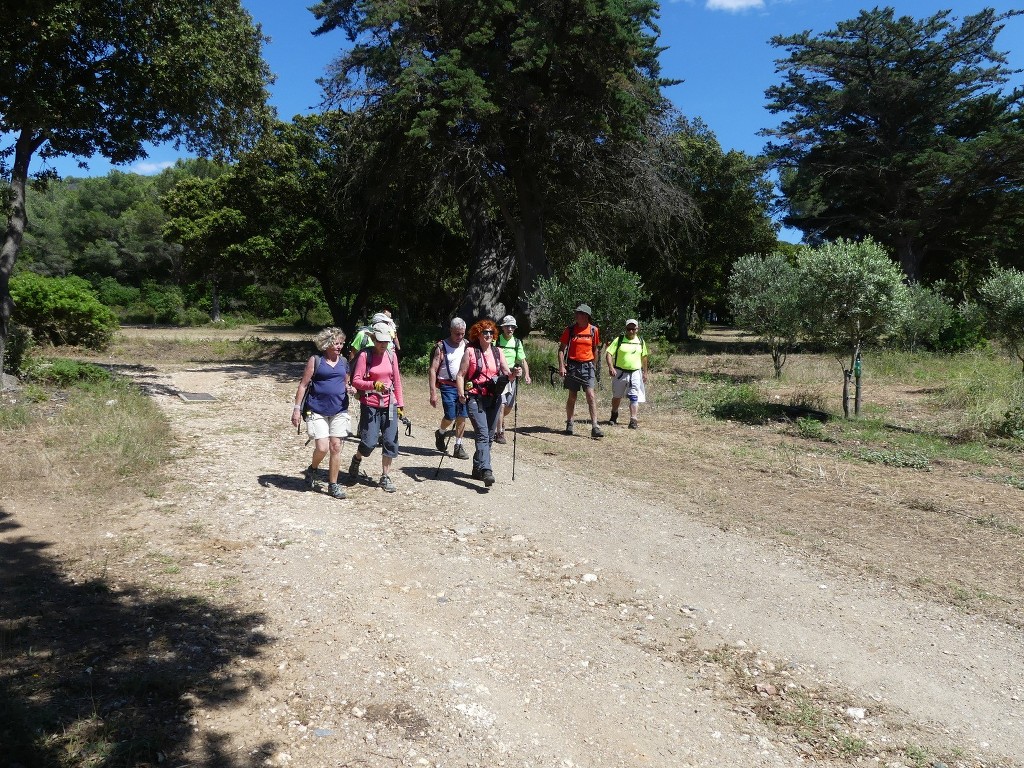 Porquerolles-Jeudi 14 juin 2018 BpHhmT