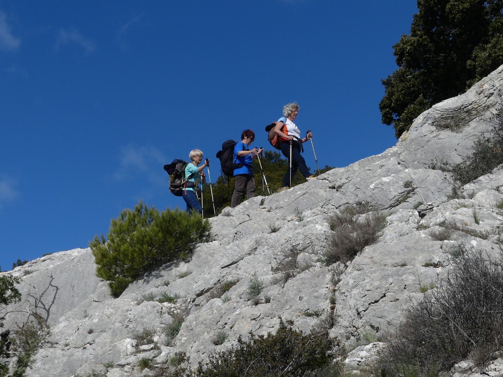 Rians-Montagne d'Artigues-Jeudi 7 mars 2019 D64Sux