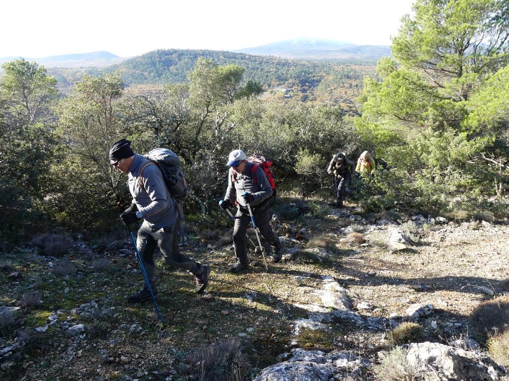 Rians-Montagne d'Artigues-Jeudi 1er décembre 2022 DxctfY