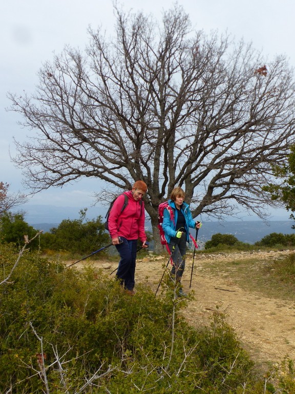 Garlaban-Lascours-Grand Vallon (les Cuvettes)-Jeudi 17 mars 2022 GjVhWO