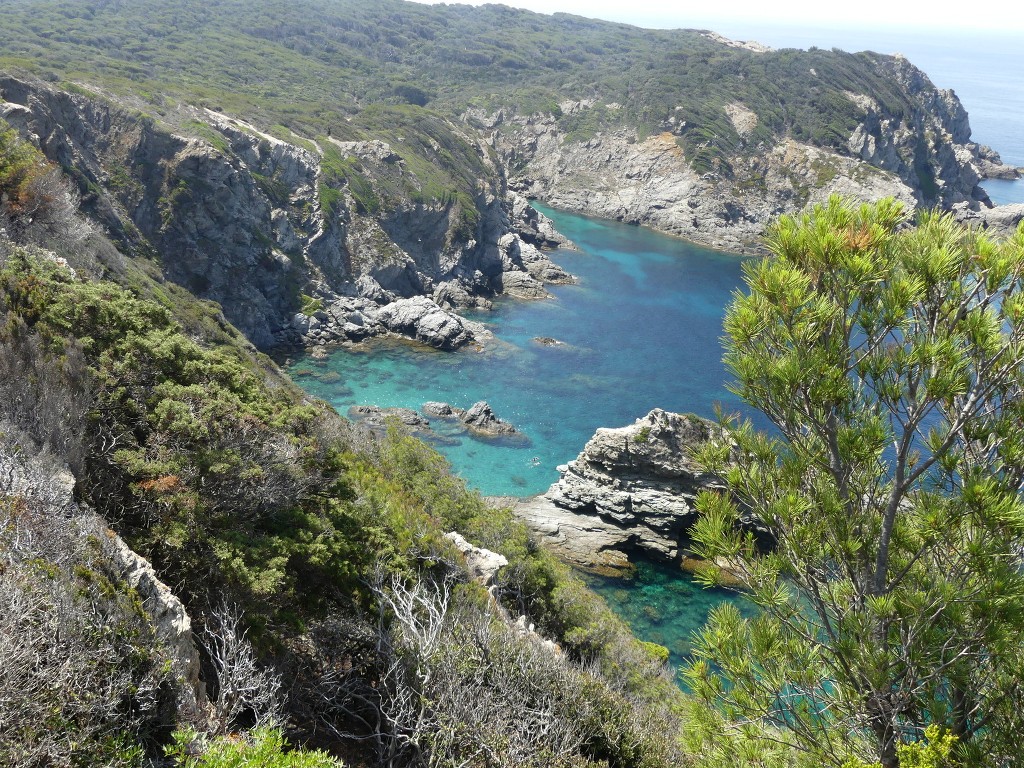 Randonnées à Porquerolles-Jeudi 16 juin 2022 JCfp6j