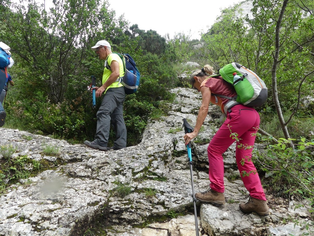 Oppède-Forêt des Cèdres-Jeudi 7 juin 2018 JdFiQi