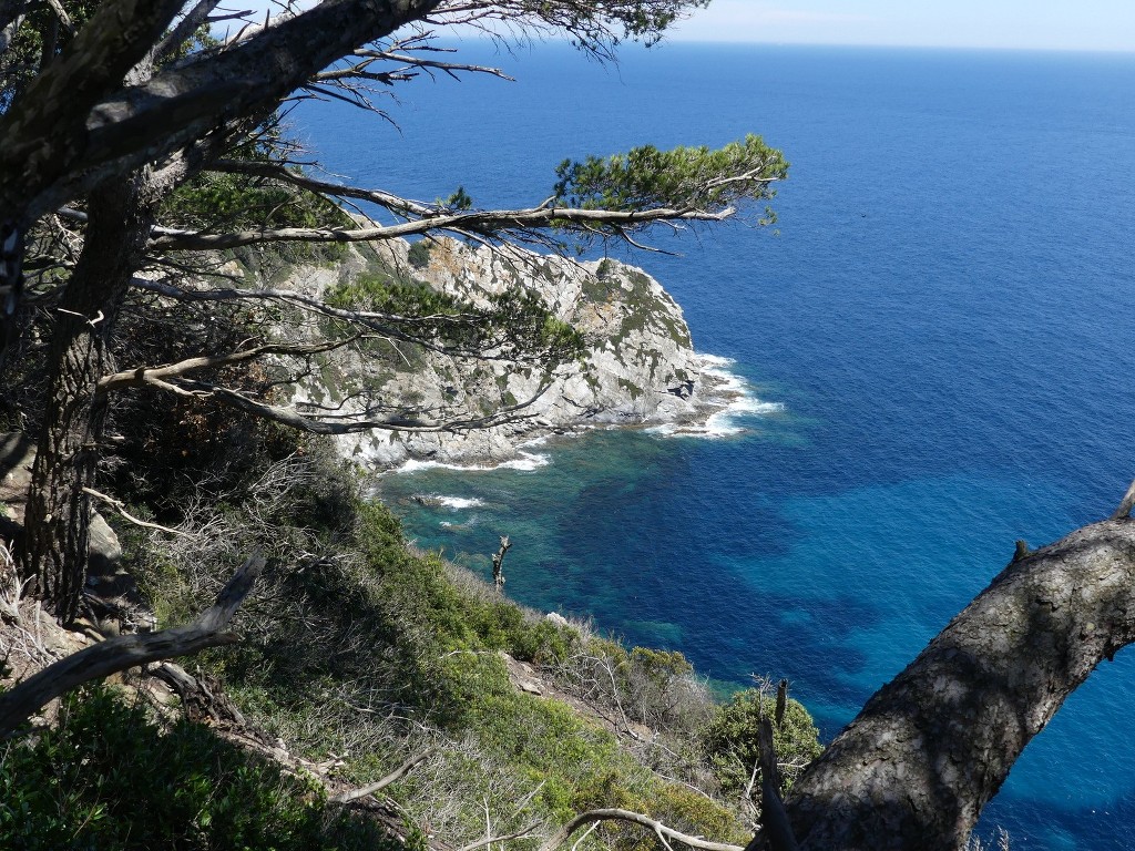 Porquerolles-Jeudi 14 juin 2018 JxsTXJ