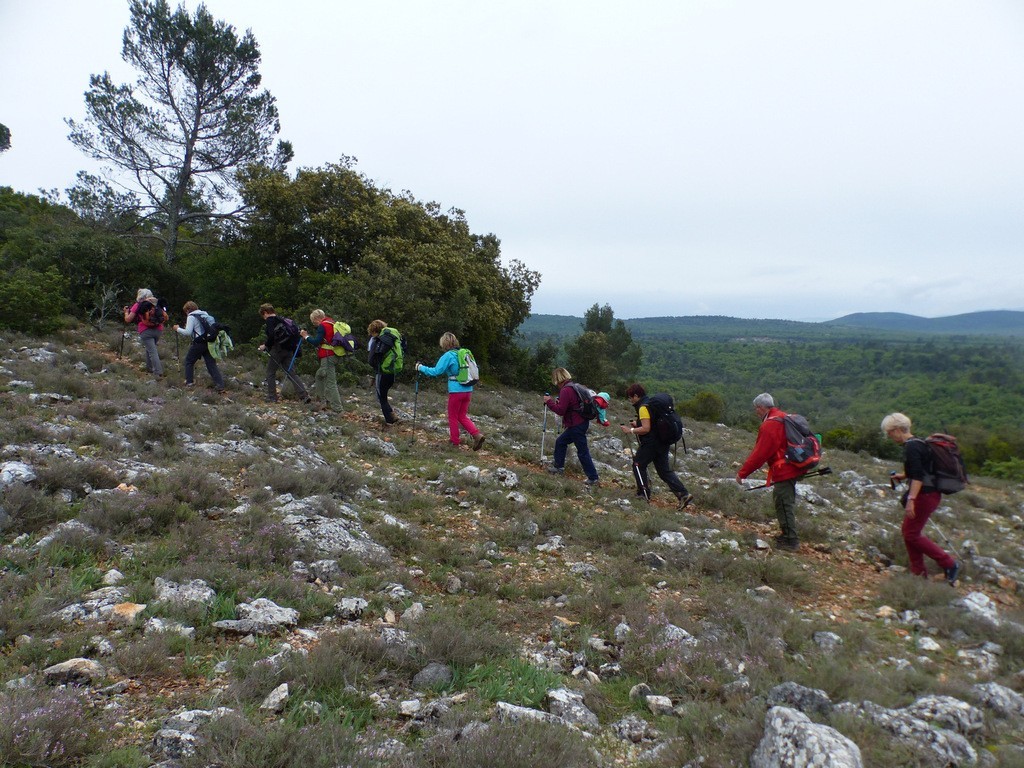 Rians-Montagne d'Artigues-Jeudi 27 avril 2017 KLx7I4